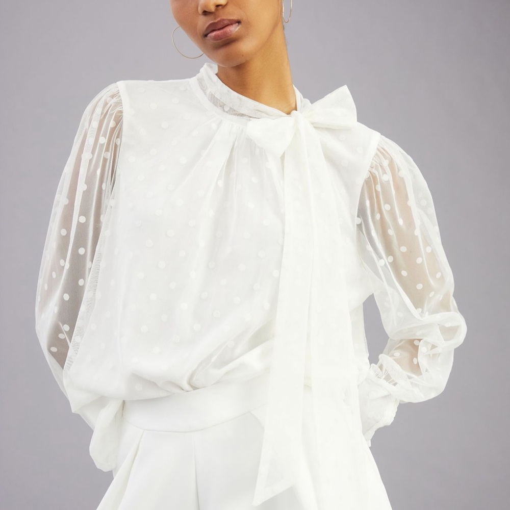 Anthropologie White Polka Dot Sheer Blouse - Picture 6 of 16